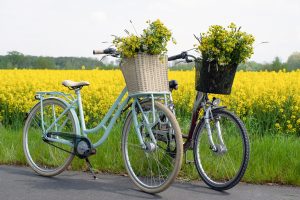 Auf dem Bewerbungsbild für die Radtour sind zwei Hollandräder mit gelben Blumensträußen in den Fahrradkörben vor einem Rapsfeld zu sehen. © CC0 